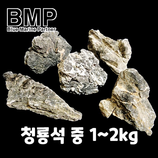 BMP 수조 레이아웃 청룡석 중 1kg~2kg (사이즈 랜덤)